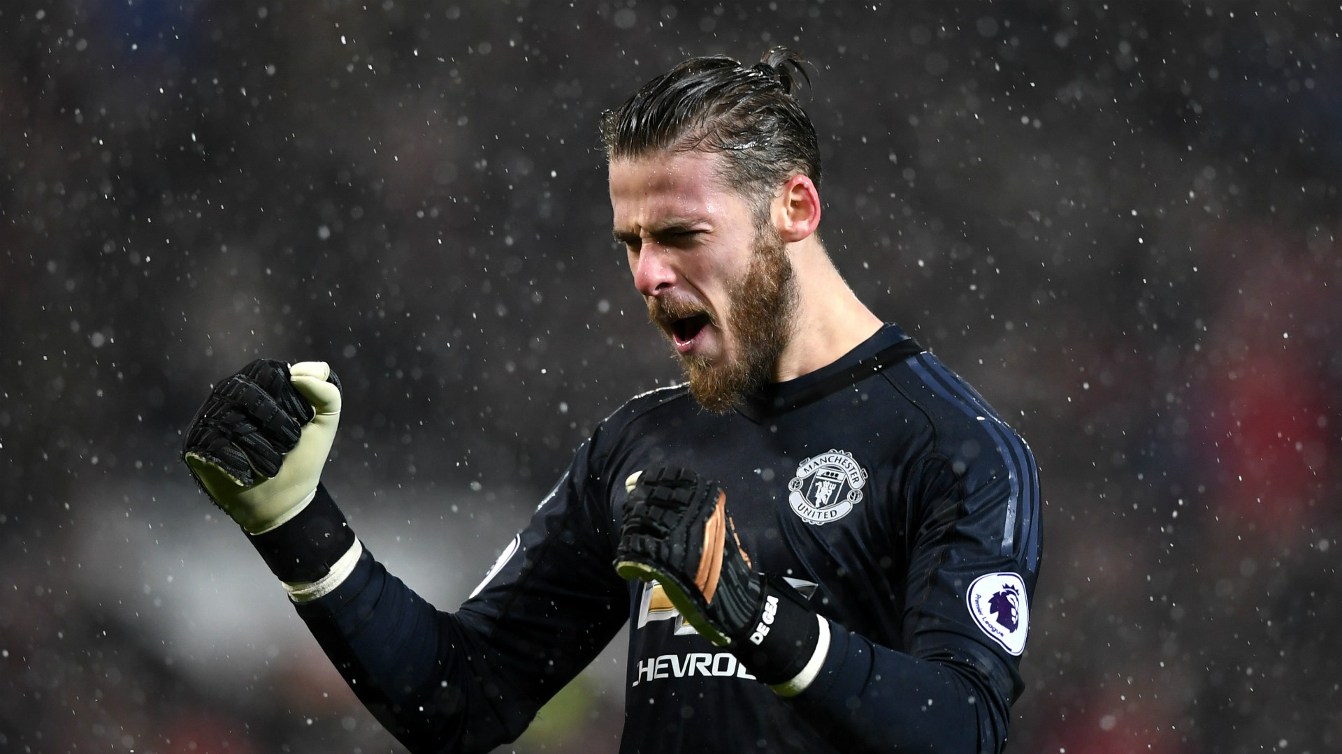 David de Gea Manchester United