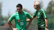 Jamie Maclaren Socceroos