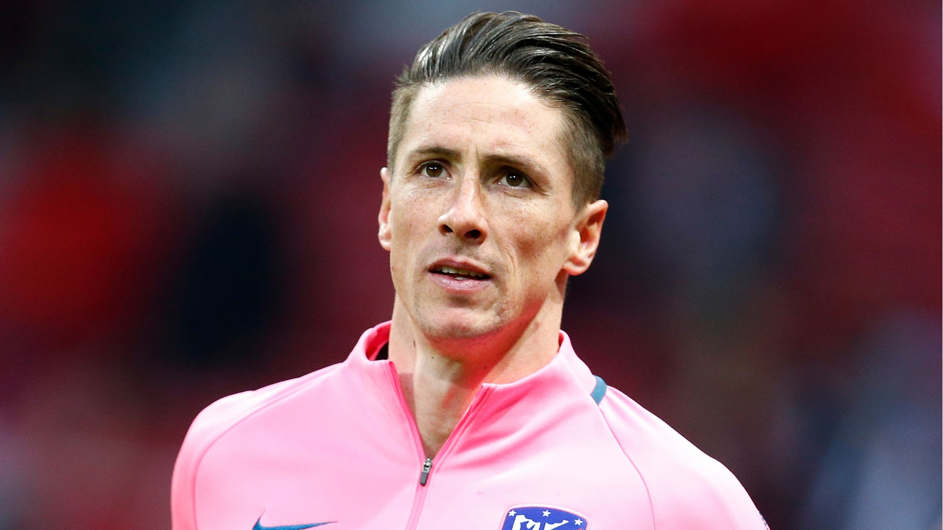 Image result for torres