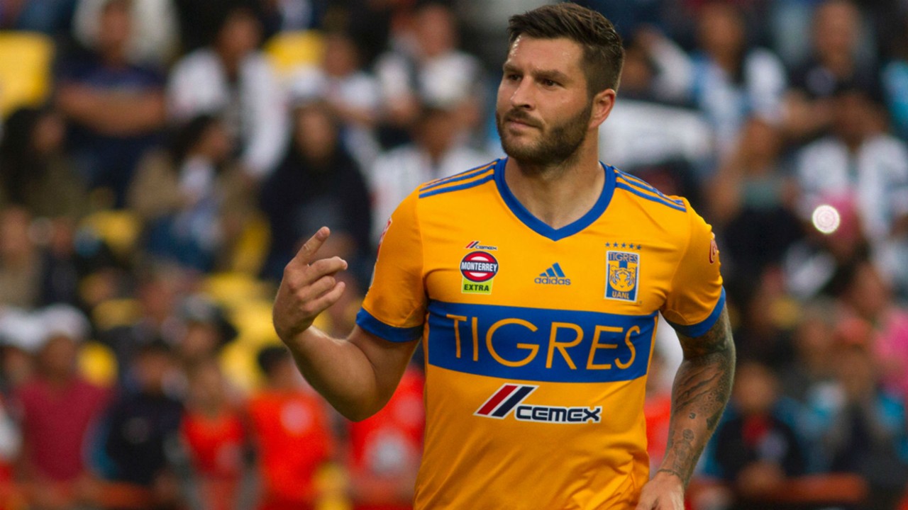 Resultado de imagen para gignac