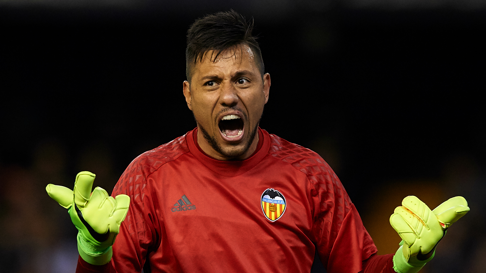 Dalla Spagna: Dalla Spagna: