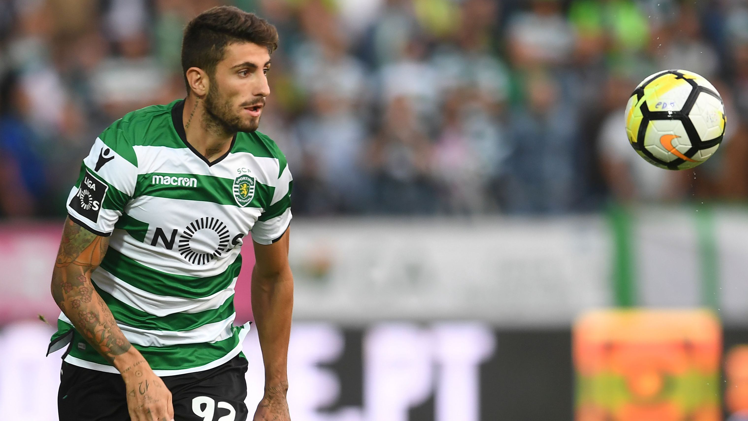Image result for piccini sporting