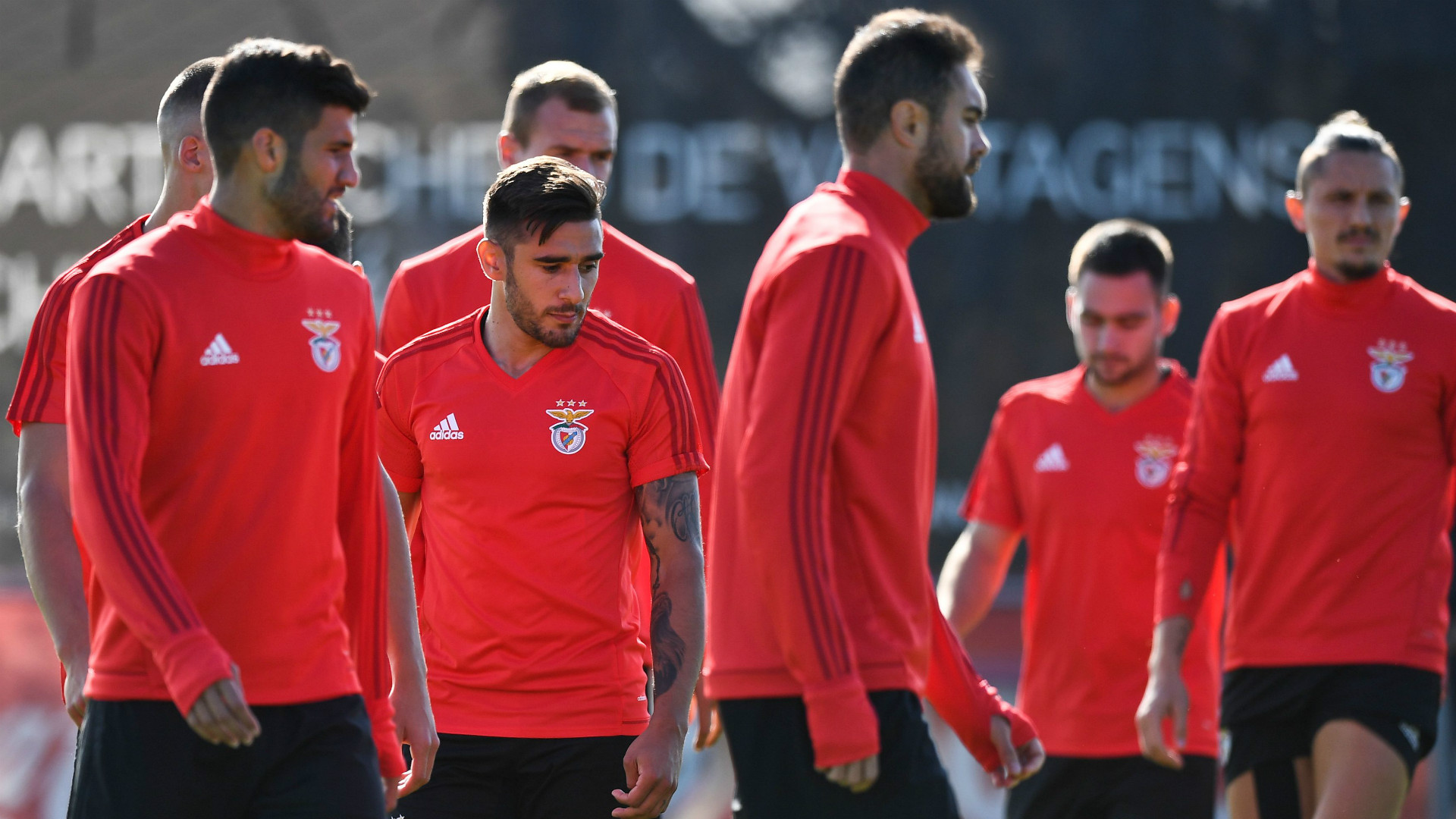 Basileia benfica stream Basileia benfica stream