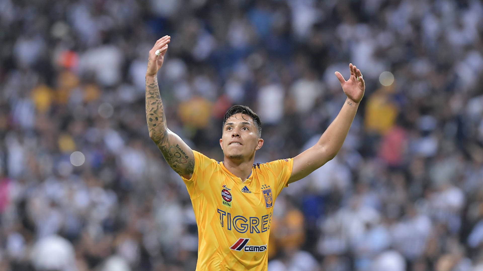 Plantilla de Tigres para el Clausura 2019 jugadores, números, cuerpo