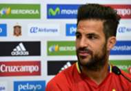 Cesc Fabregas Spain press conference