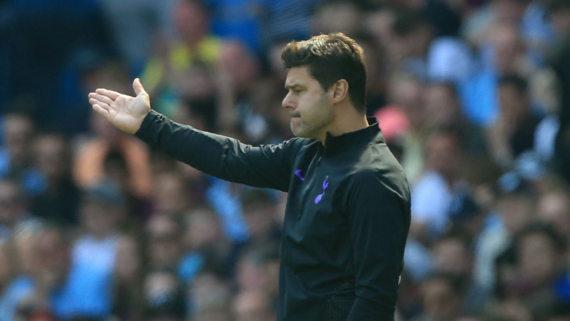 Tottenham vs. Brighton Live Stream, TV Channel: How to Watch Premier League Tottenham vs. Brighton Live Stream, TV Channel: How to Watch Premier League