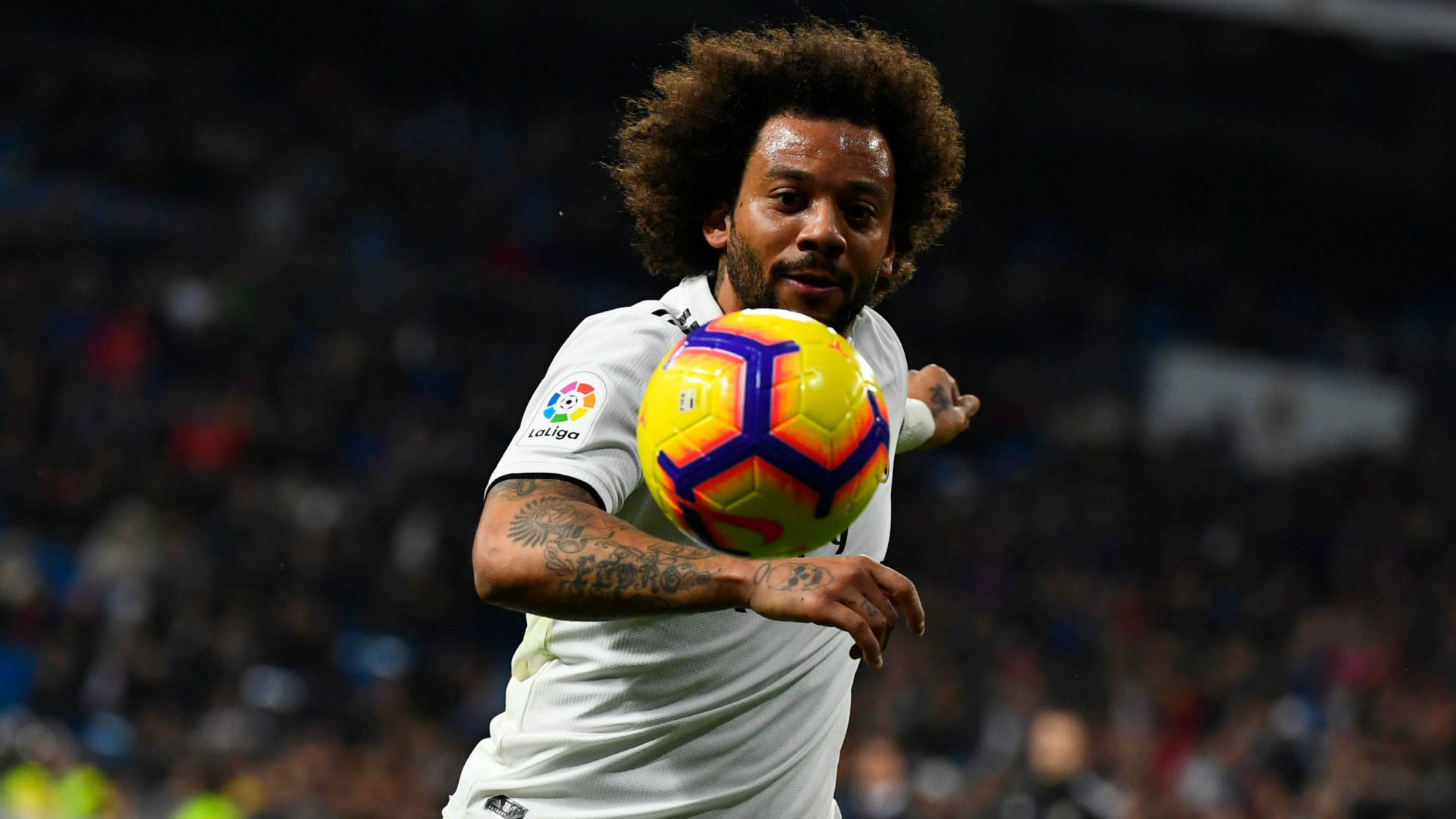 MARCELO