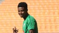 Bafana Bafana, Bongani Zungu