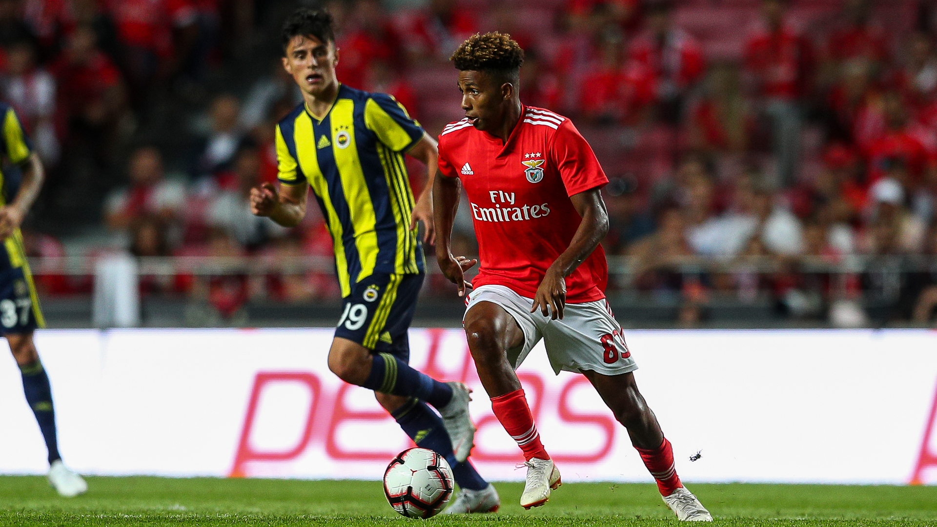 Risultati immagini per fernandes benfica