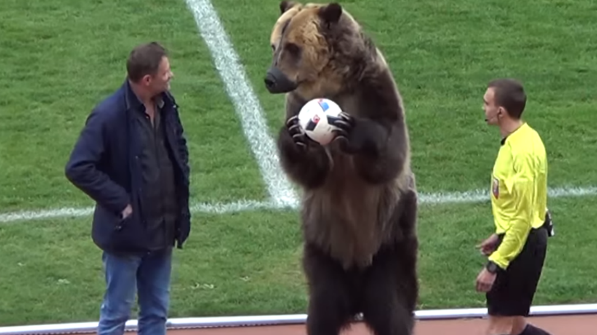 Cris de singe lors de Russie-France : une procédure disciplinaire ouverte contre la Fédération russe