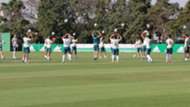 palmeiras_treino