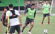 Guma Salgueiro