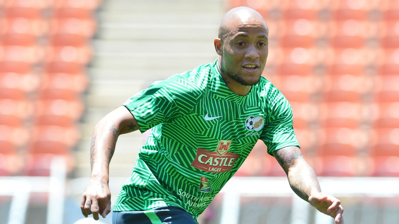 Bafana Bafana, Dino Ndlovu