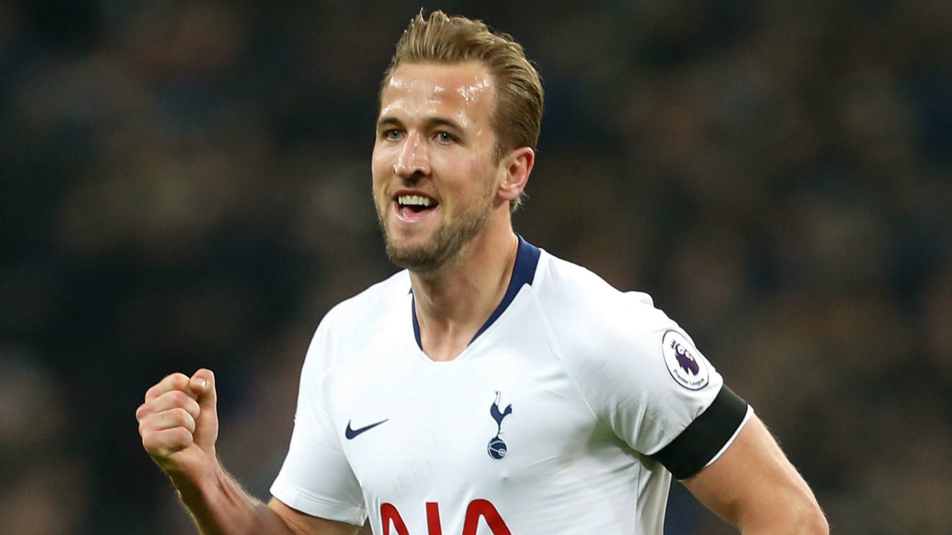 Harry Kane Tottenham 2018-19