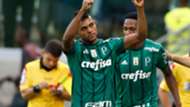 Miguel Borja Palmeiras Vasco Brasileirao Serie A 14052017