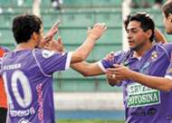Darwin Peña, Real Potosí