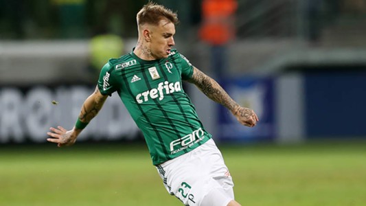 Resultado de imagem para ROGER GUEDES PALMEIRAS