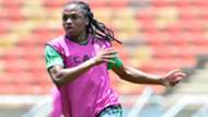 Bafana Bafana, Siphiwe Tshabalala