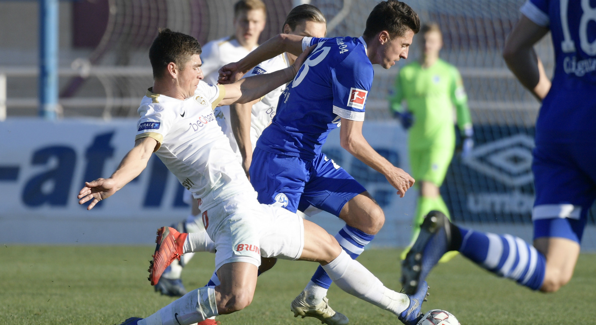 Schalke Neuigkeiten Schalke Neuigkeiten