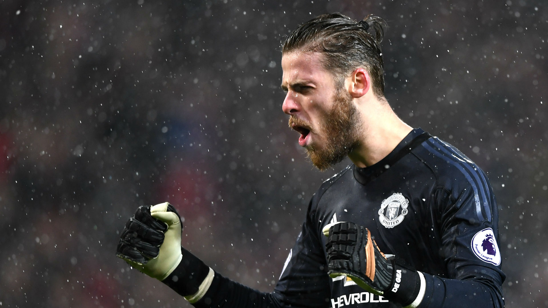 DavidDe Gea Manchester United Premier League