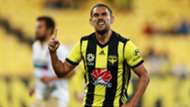 David Williams Wellington Phoenix