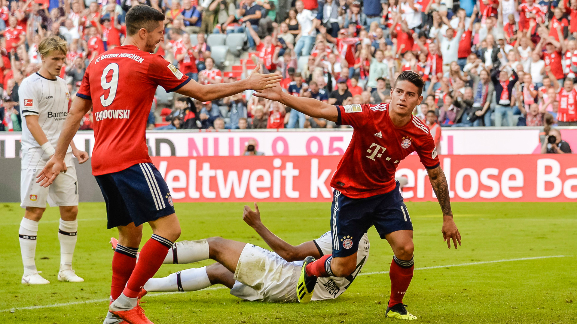 Schalke Bayern Live Tv Schalke Bayern Live Tv