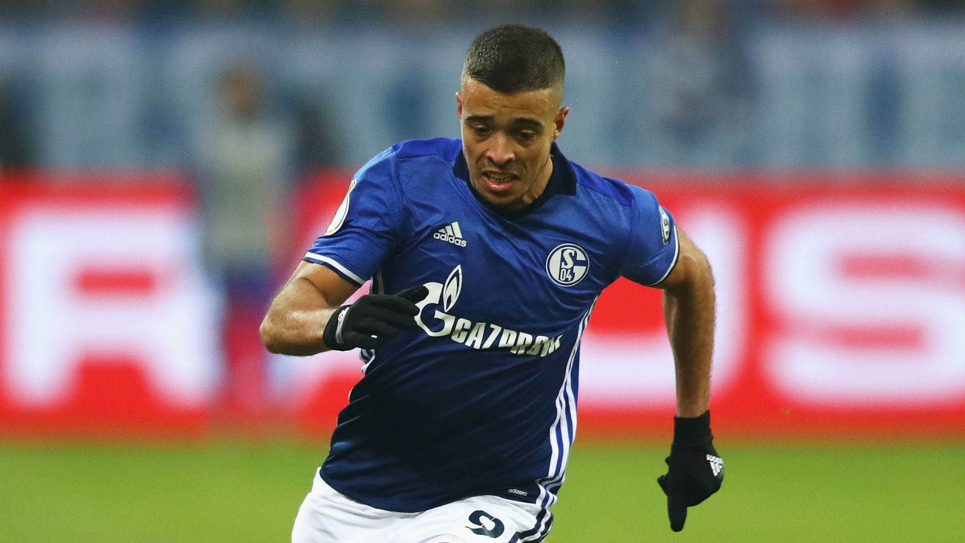 Franco di Santo Schalke 2017