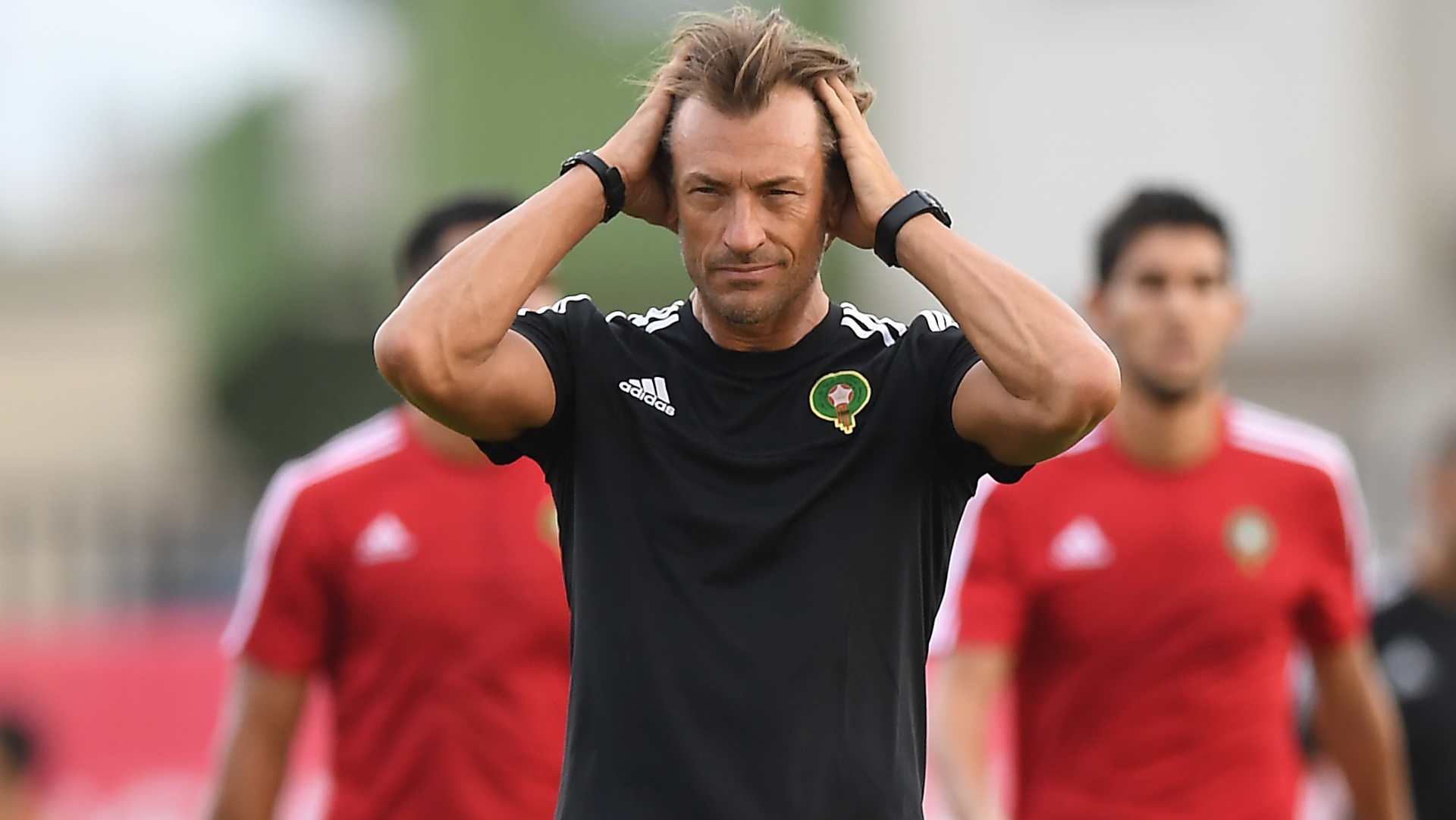 herve-renard-of-morocco_wqw7shcyxvqq1eyx9dg7nx6m3.jpg