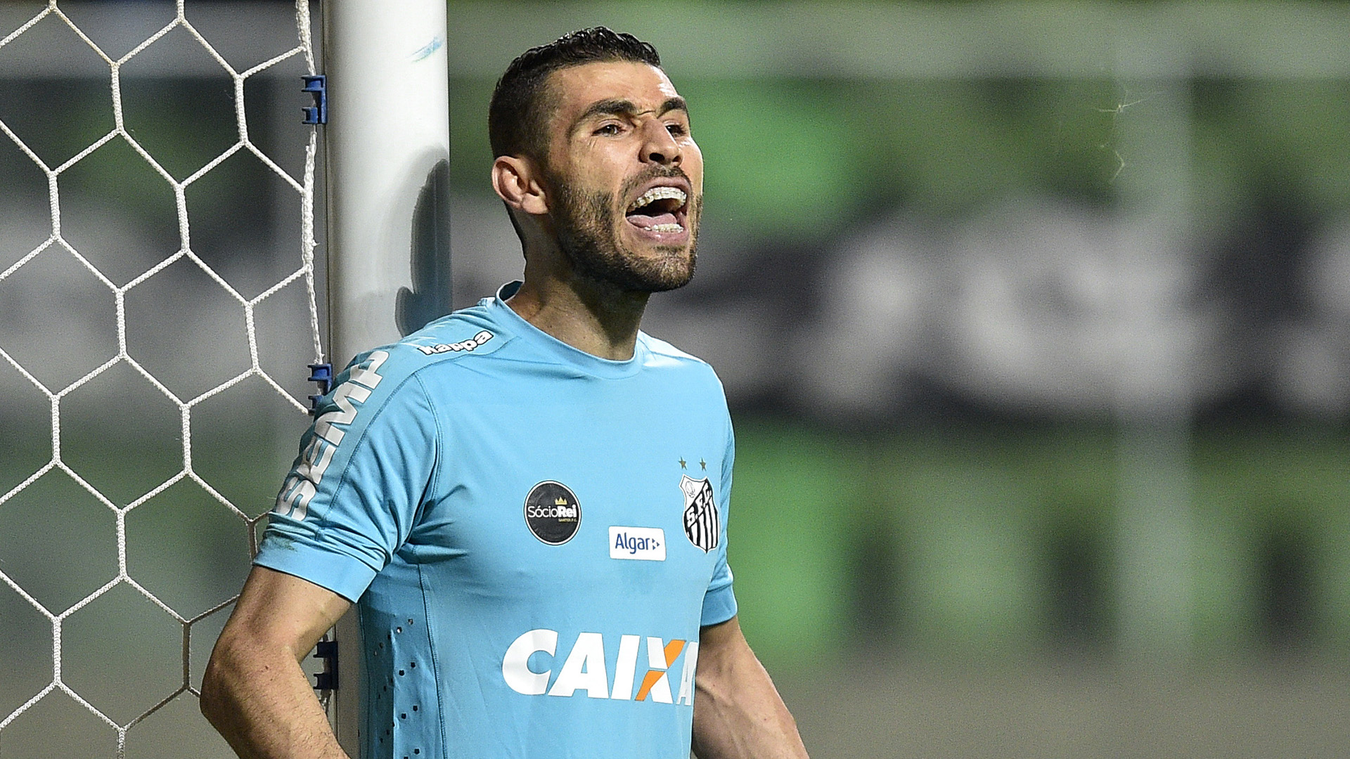 Vanderlei Atletico-MG Santos Brasileirao Serie A 12072017