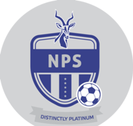 Ngezi Platinum Stars