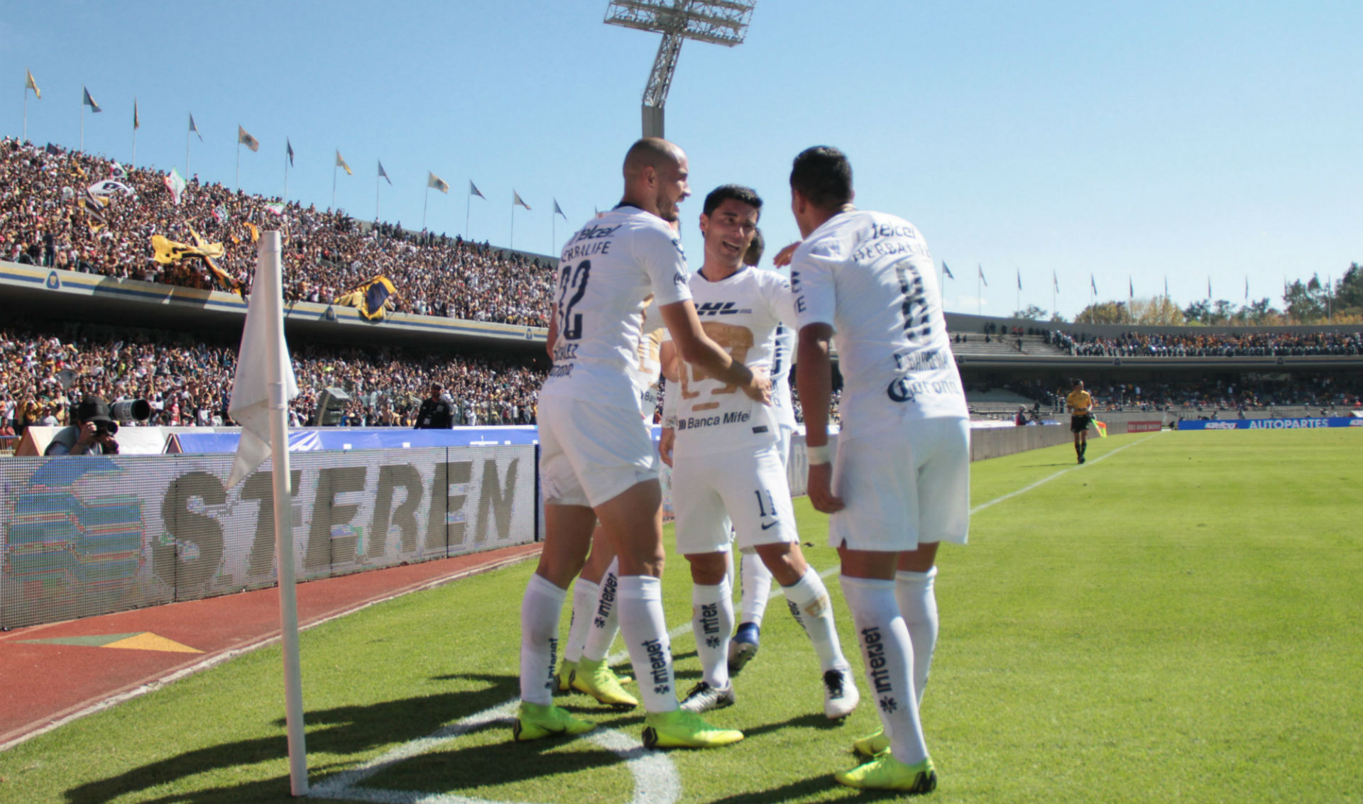 Pumas Tigres