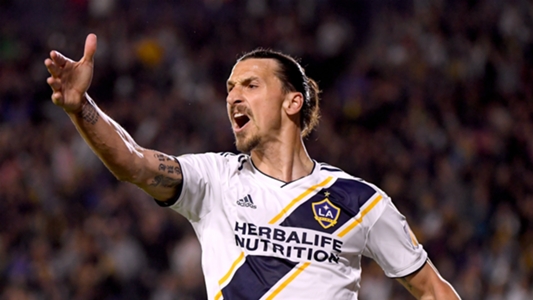 Image result for zlatan ibrahimovic