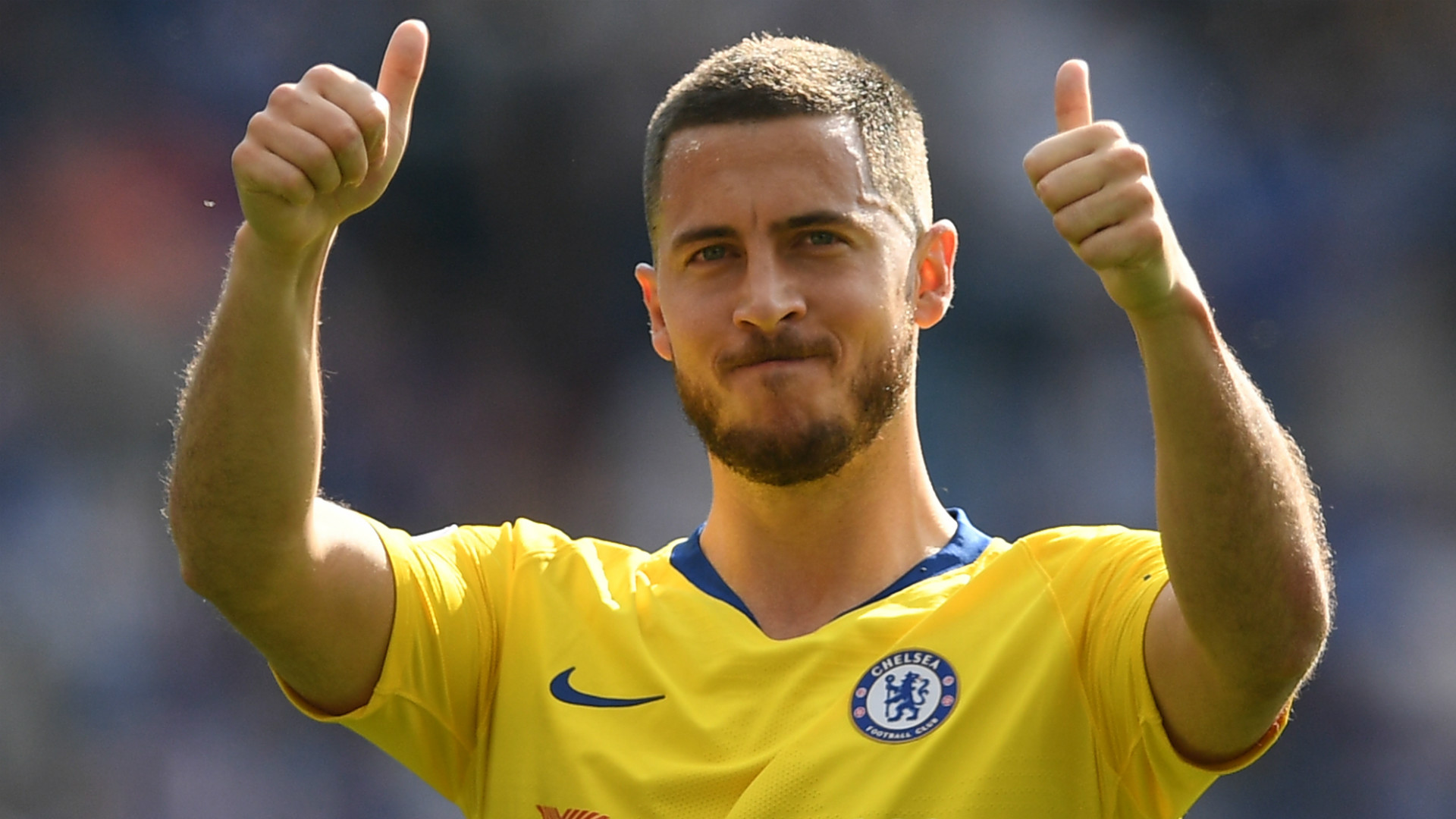 Resultado de imagem para HAZARD