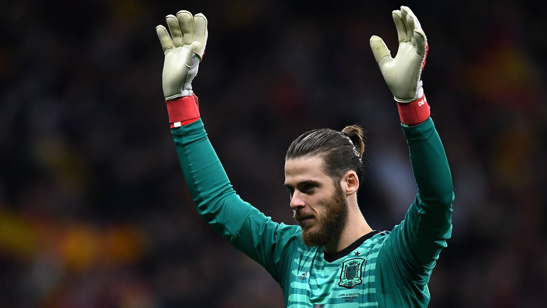David De Gea Spain 2018 David De Gea Spain 2018