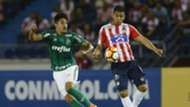 Teo Gutierrez Thiago Martins Junior Palmeiras Copa Libertadores 01032018