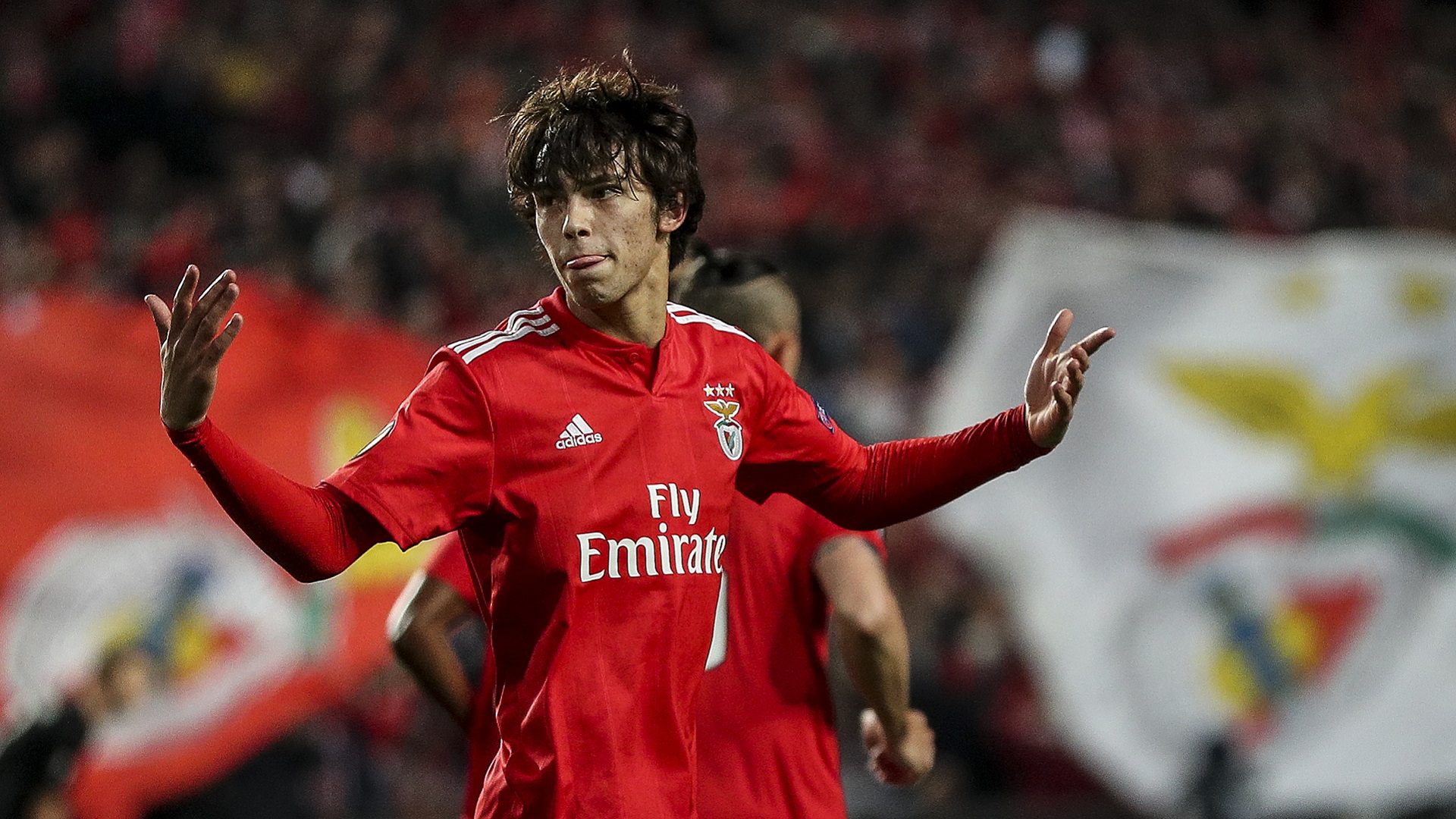 Europa League, Napoli ko. Benfica show con Joao Felix Europa League, Napoli ko. Benfica show con Joao Felix