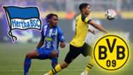 GFX BVB Hertha BSC Livestream TV Bundesliga
