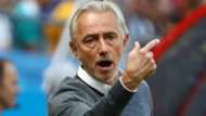 van Marwijk