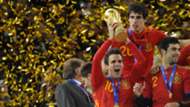 Cesc Fabregas Spain