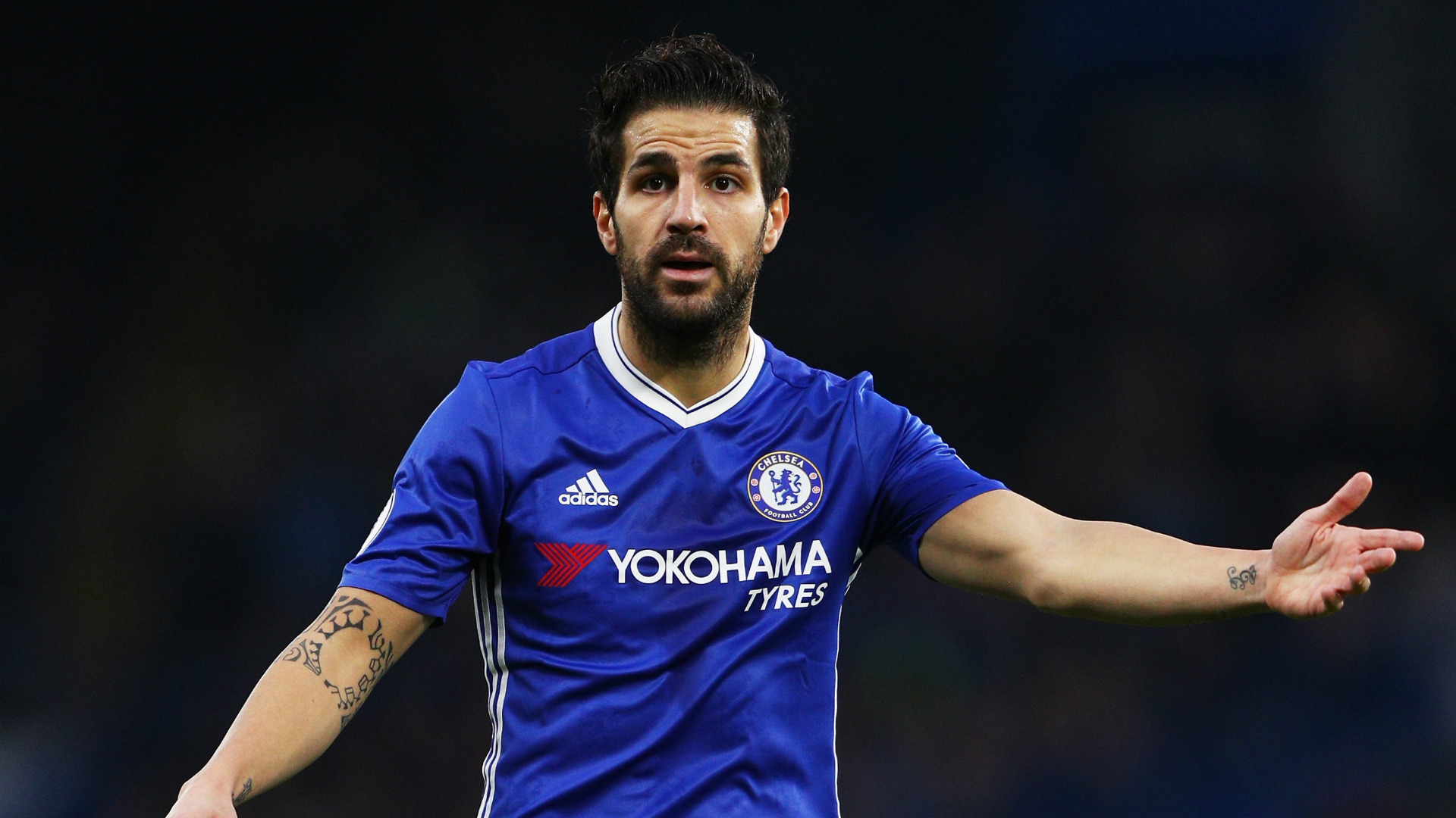 Image result for fabregas