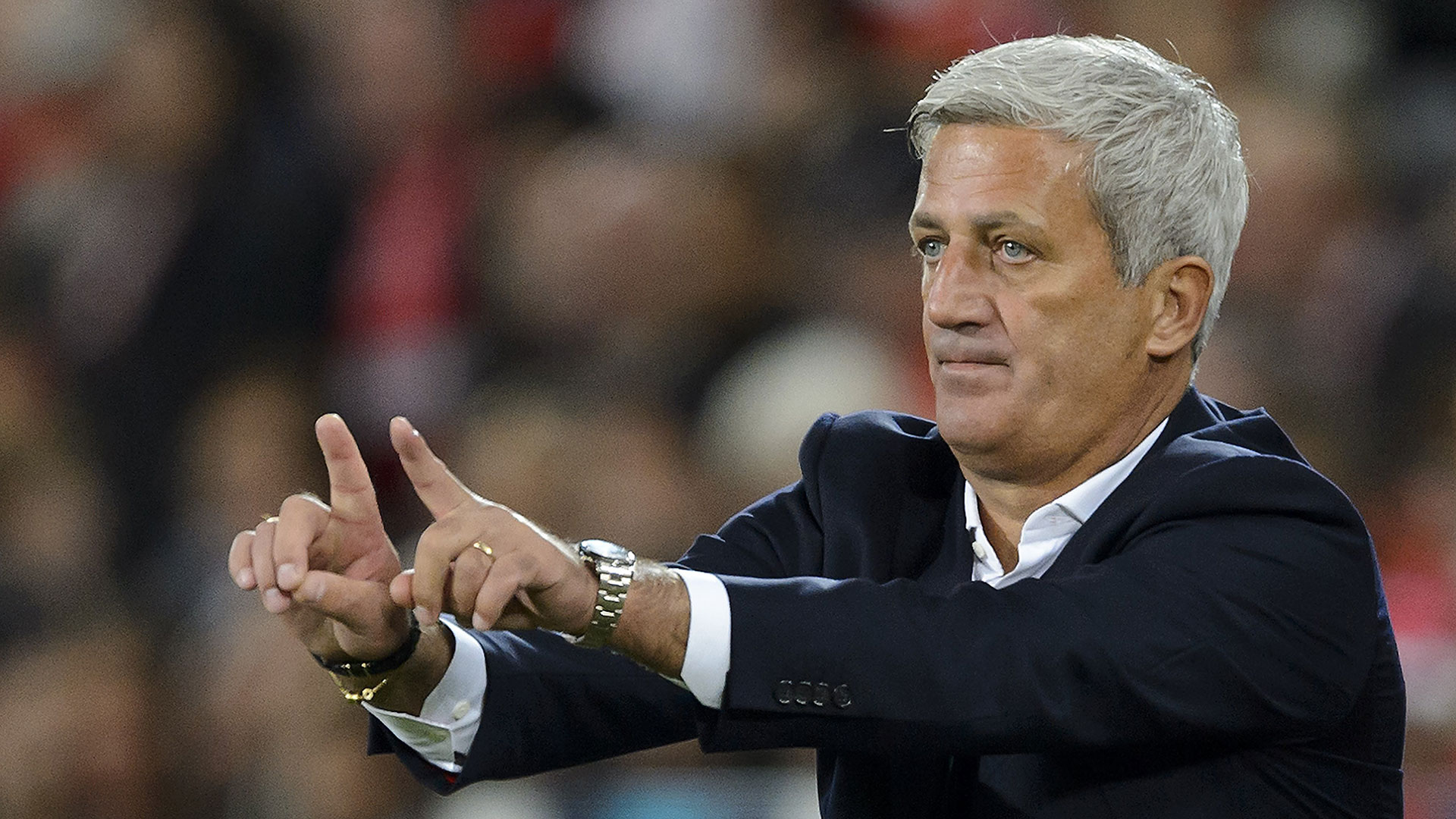 Vladimir Petkovic Switzerland
