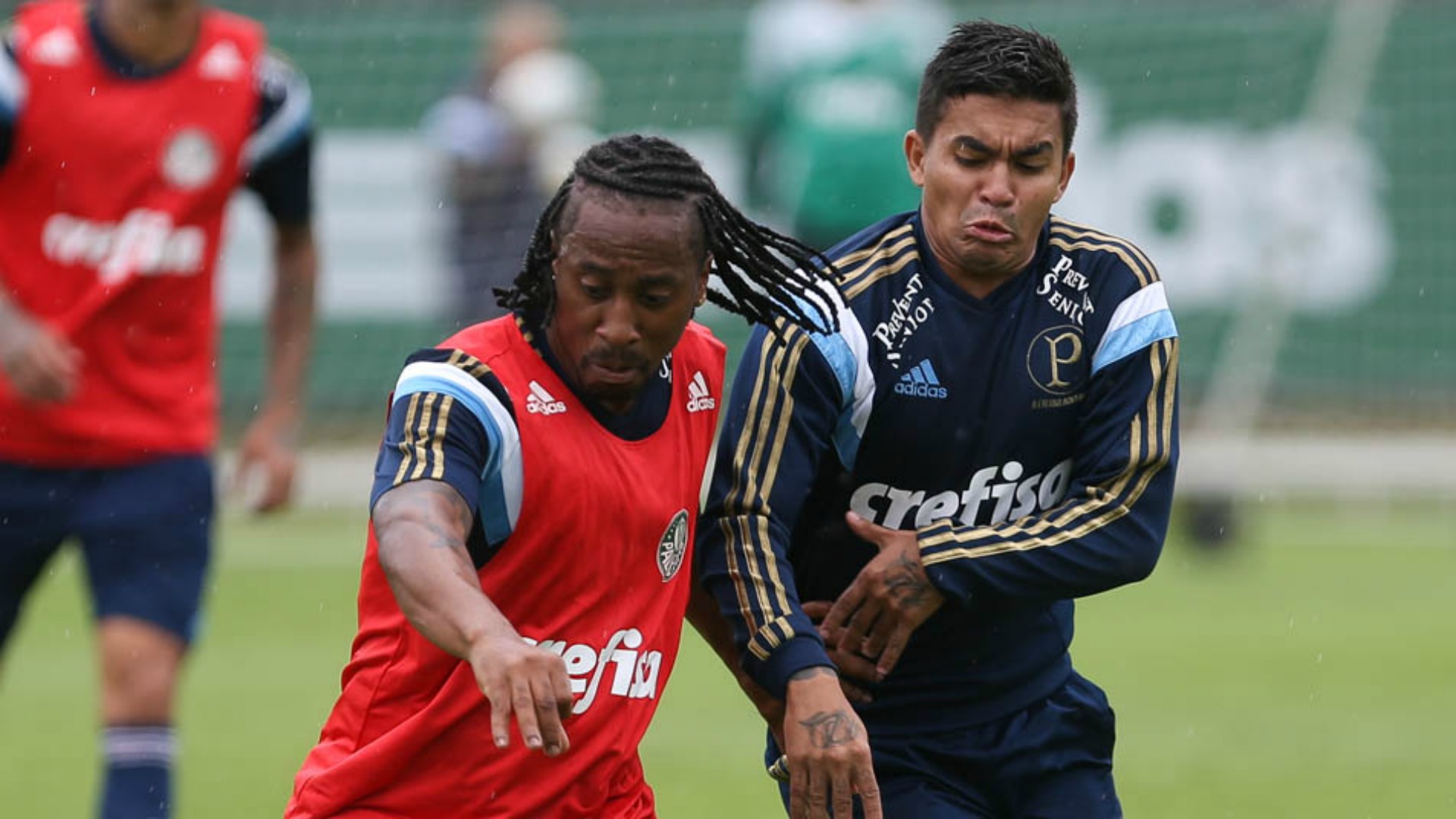 arouca dudu palmeiras