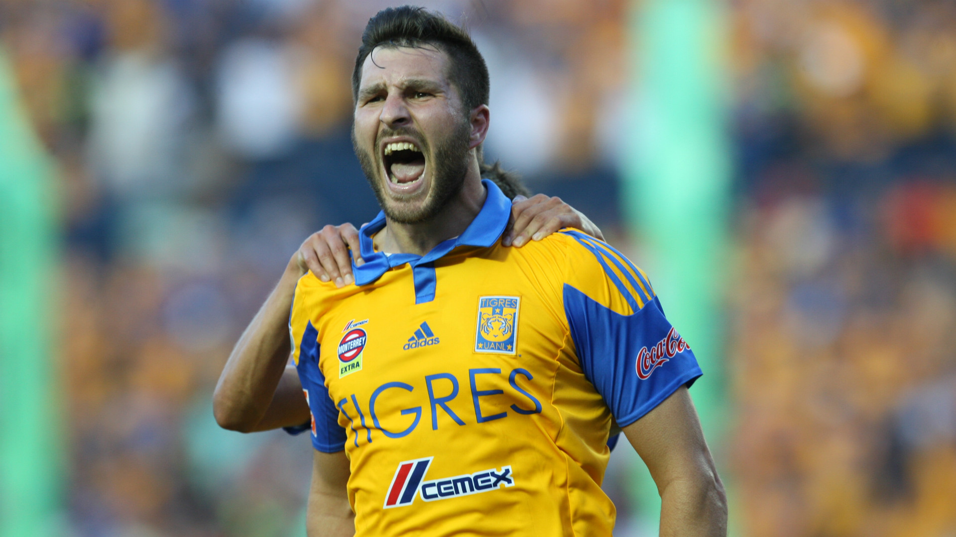 André Pierre Gignac Tigres Liga MX - Goal.com