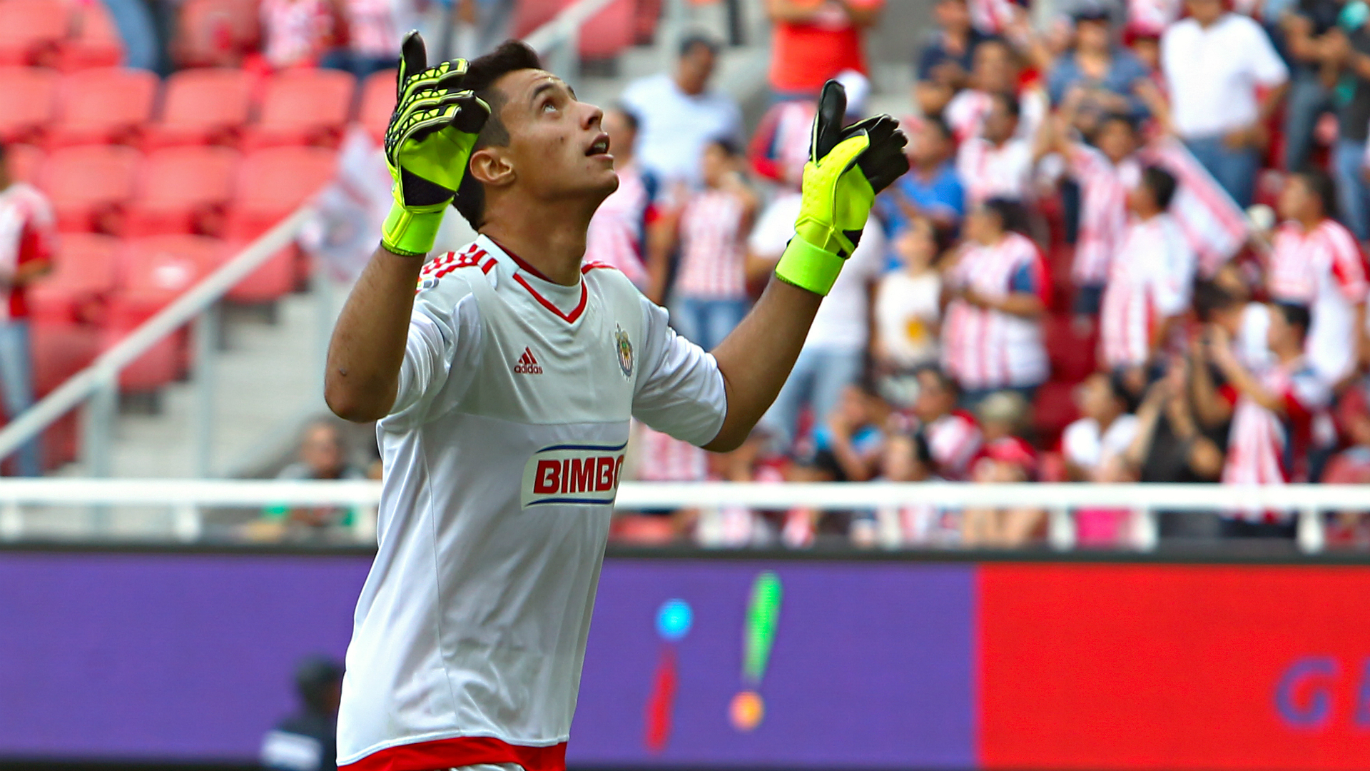 José Antonio Rodríguez 30082015 Liga Mx Chivas vs Jaguares - Goal.com1920 x 1080