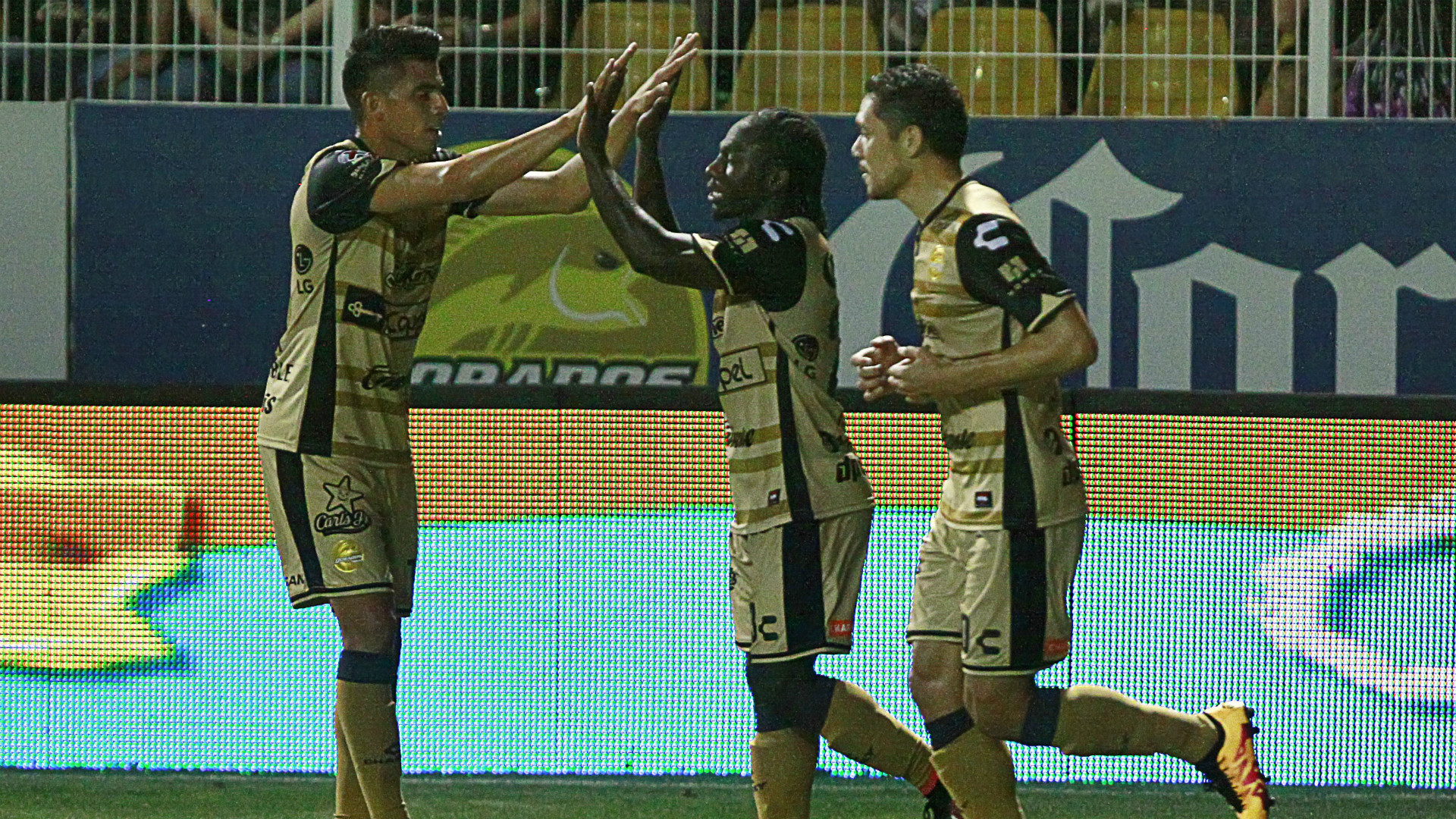 Daniel Arreola | Dorados - Morelia
