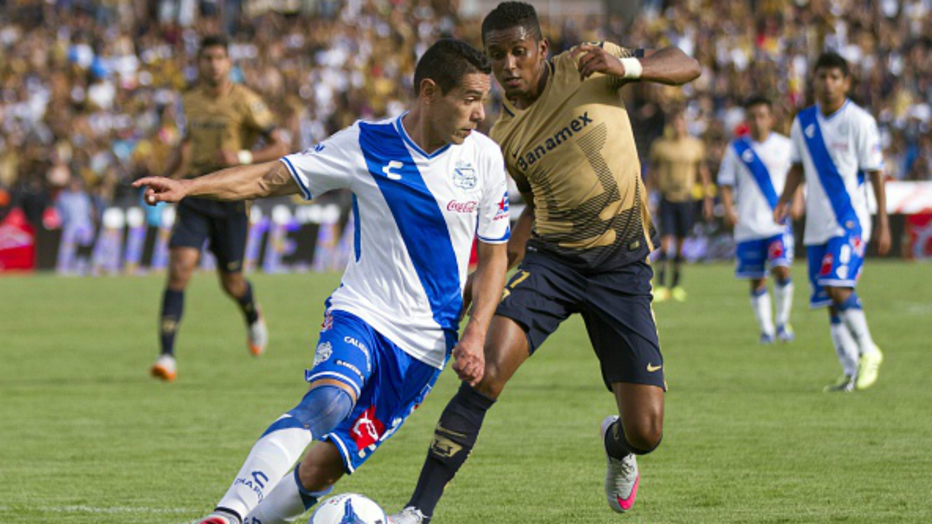 Image Result For Toluca Vs Veracruz En Vivo Eliminatorias Veracruz Image Result For Toluca Vs Veracruz En Vivo Eliminatorias Veracruz