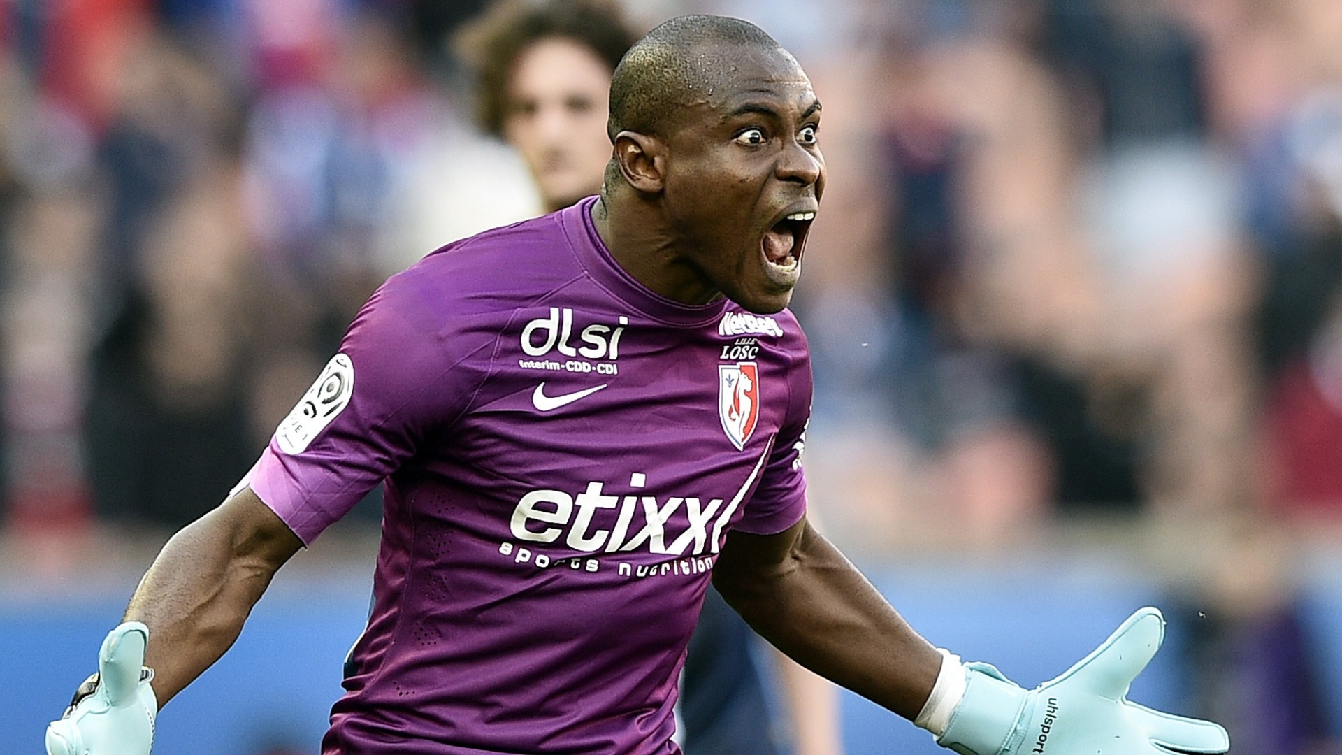 Vincent Enyeama of LOSC Lille - Goal.com1920 x 1080