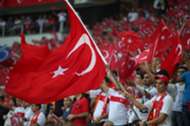 turkey fans
