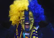 Shrewsbury Town Fan