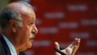 Vicente del Bosque Spain